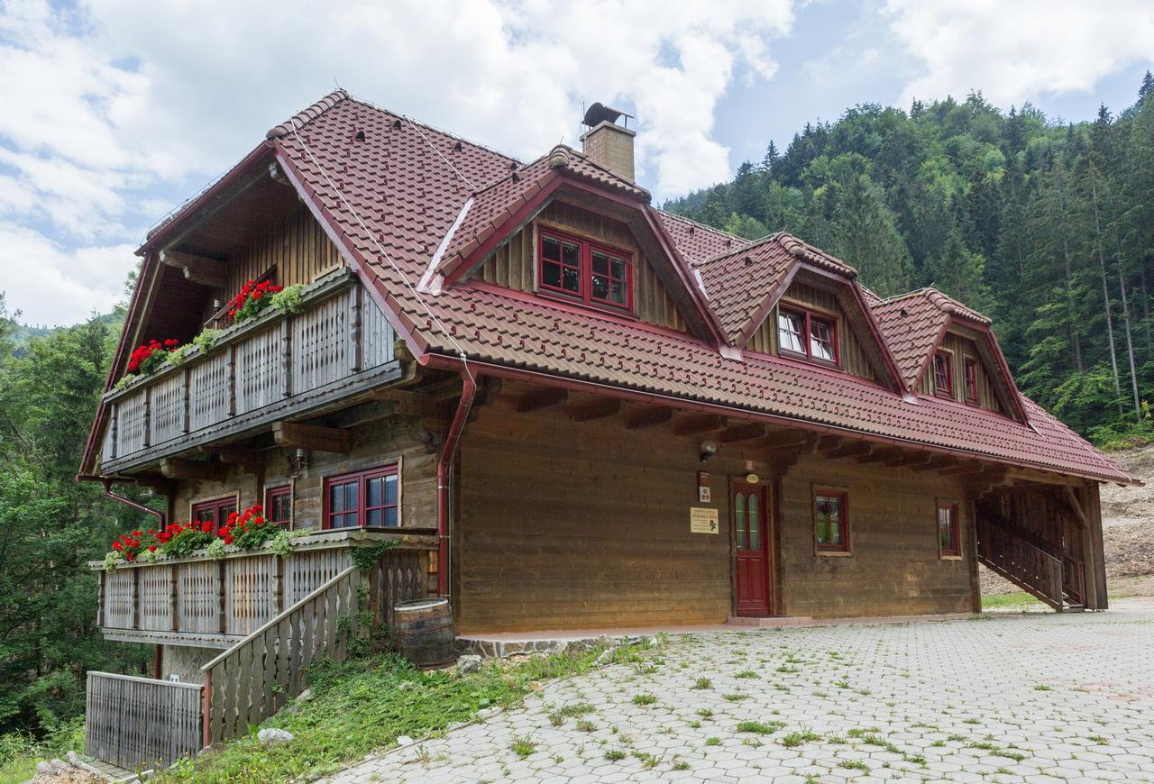 Apartments Petek Gornji Grad Exterior photo