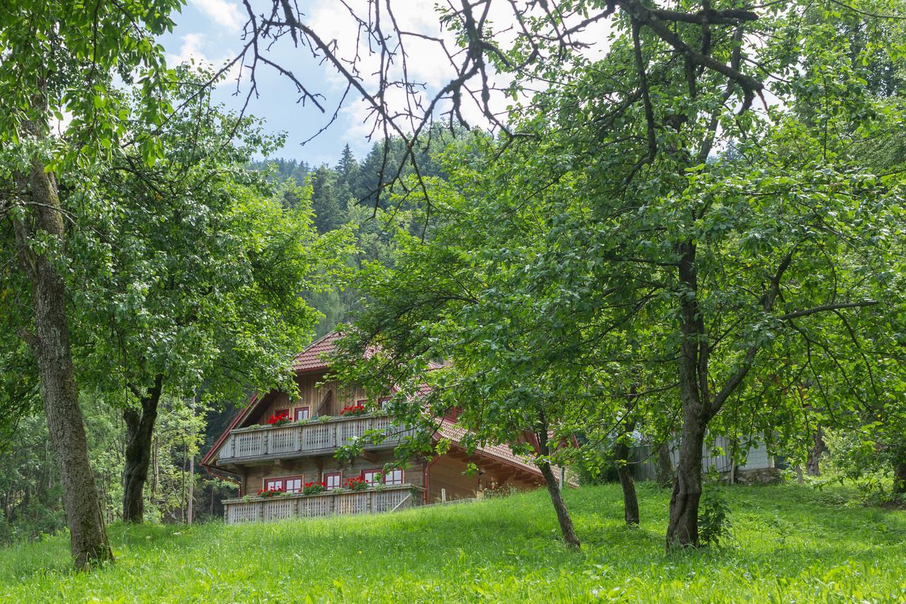 Apartments Petek Gornji Grad Exterior photo